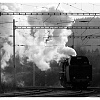 556.0506 Rybník 5.12.2009c